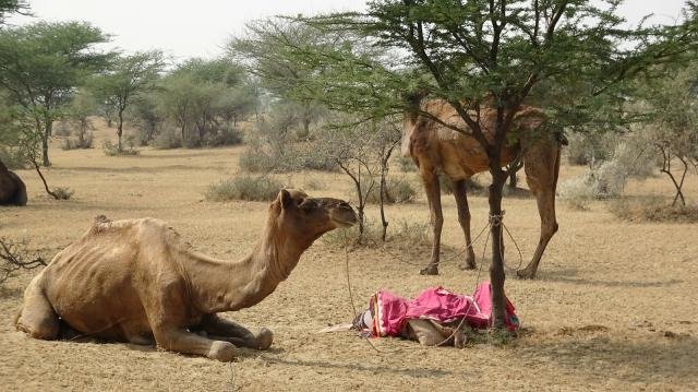 Urlaub in Indien 2016